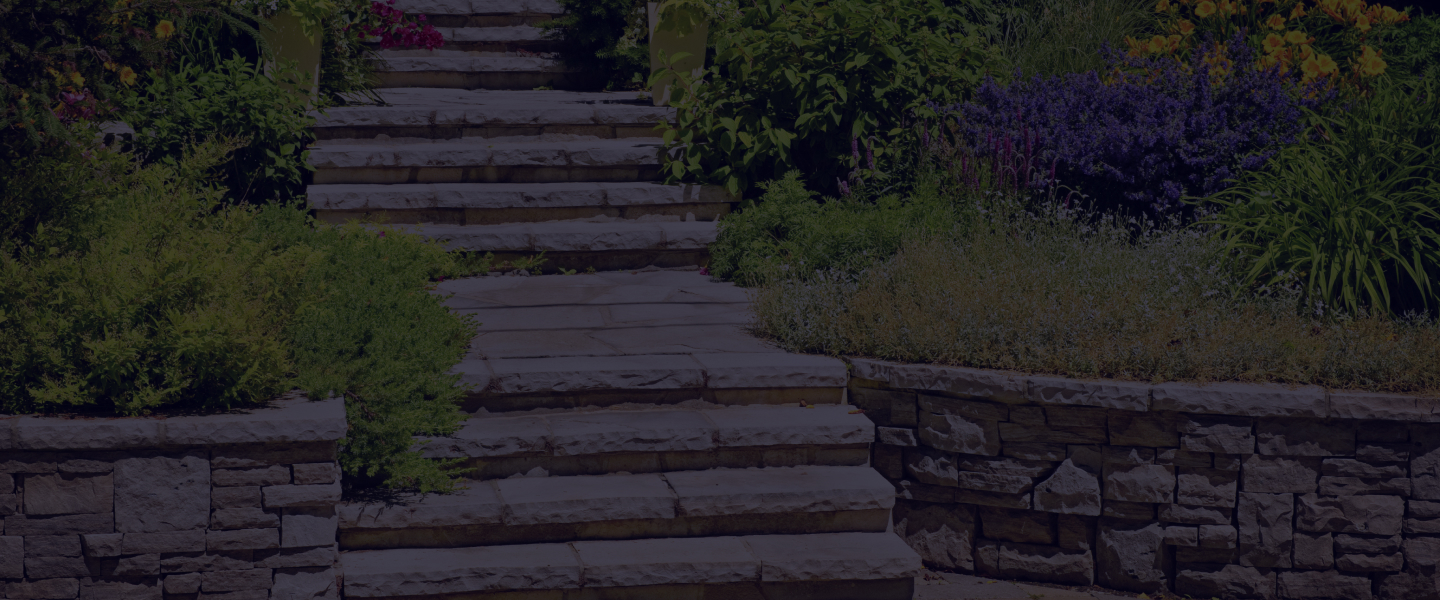 Slider-BG-NEW