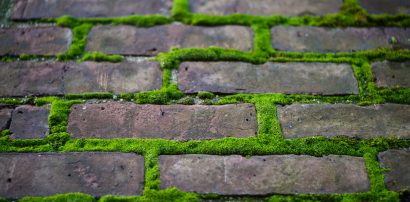 What it Really Means When Moss is on Your Chimney