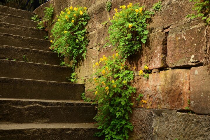 How Safe Are Your Masonry Steps?