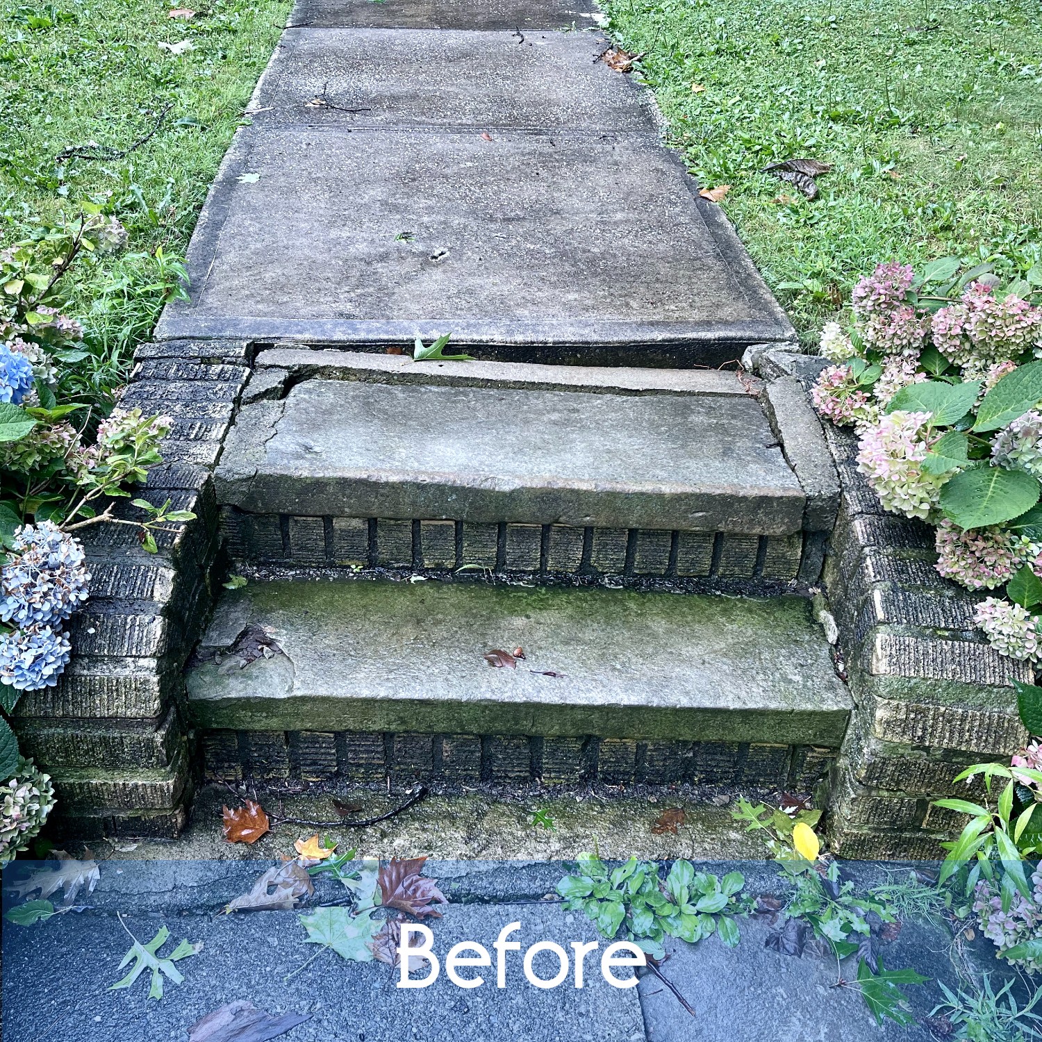 Steps before repair